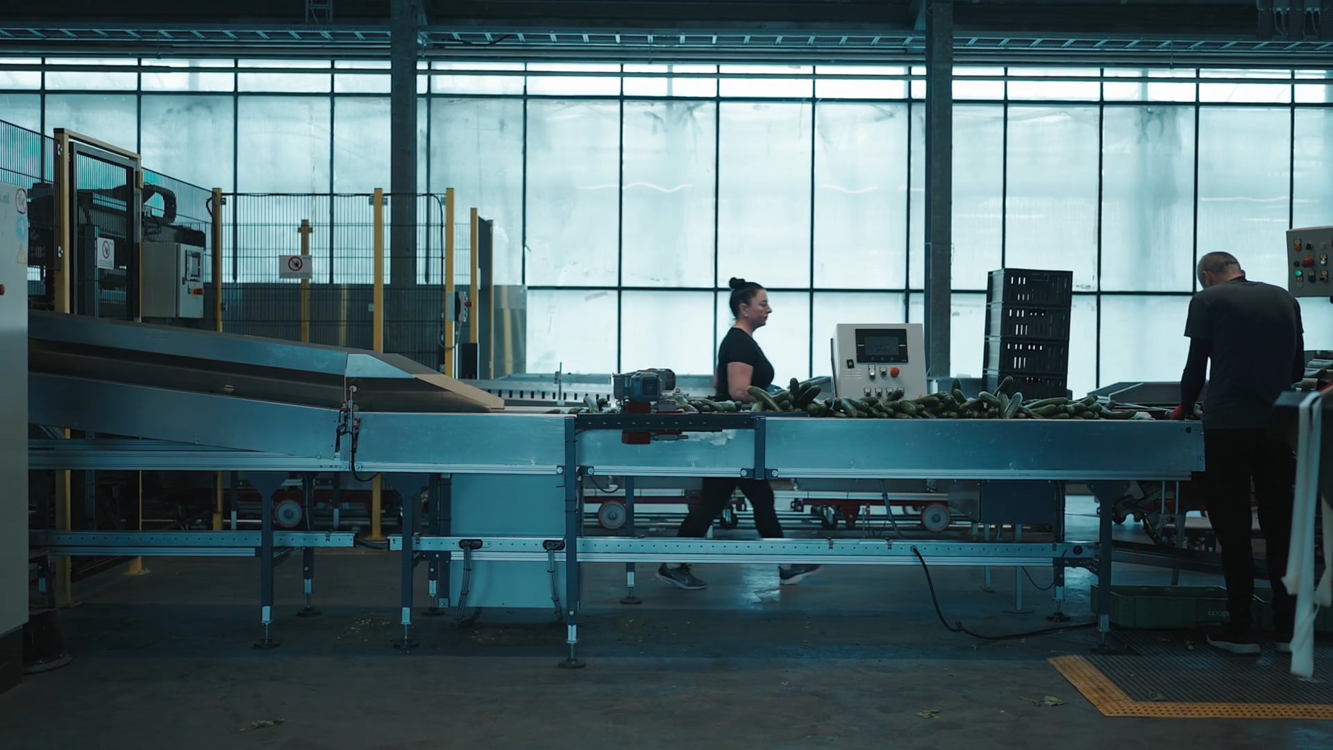 MENY - DANSKE MADSKATTE