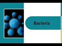 Module 2: Bacteria