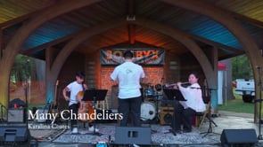 Karalina Coates - Many Chandeliers (2025 Etchings Fellow)