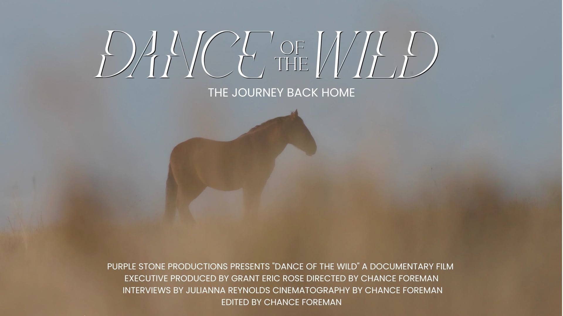 Dance Of The Wild - Official Trailer