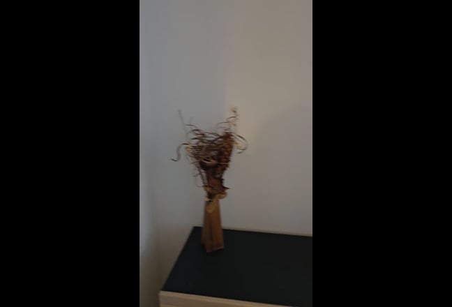 Video 1: Room 3,,Double, with storage bed, Available