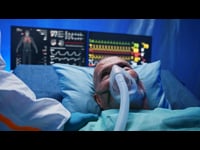 The Circulatory System – Hot Stone Massage Course