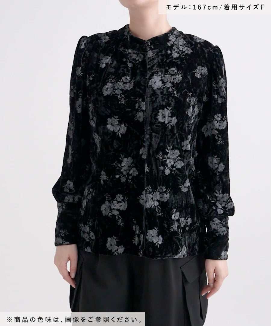 LADIES】2WAYベロアガラブラウス | [公式]ハレ（HARE）通販