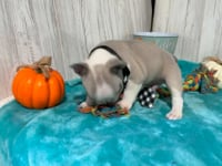 Watch me play!