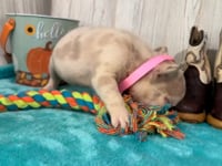 Watch me play!