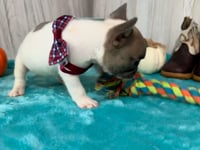 Watch me play!