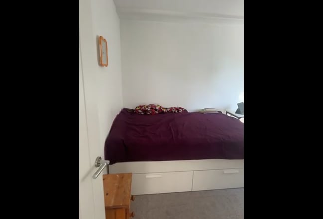 Video 1: