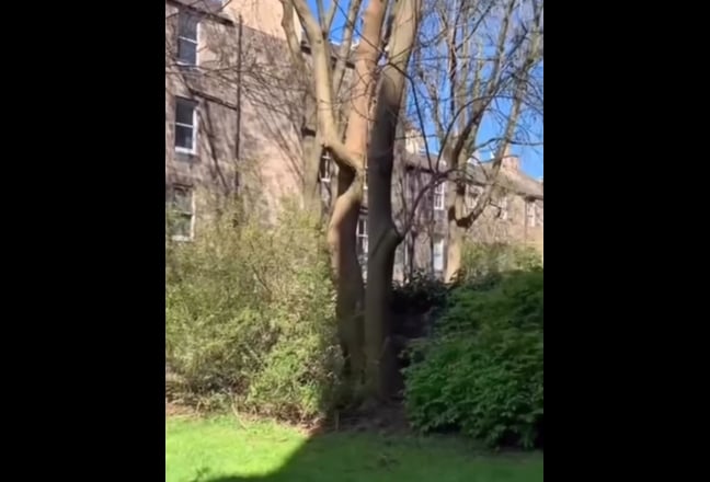 Video 1: