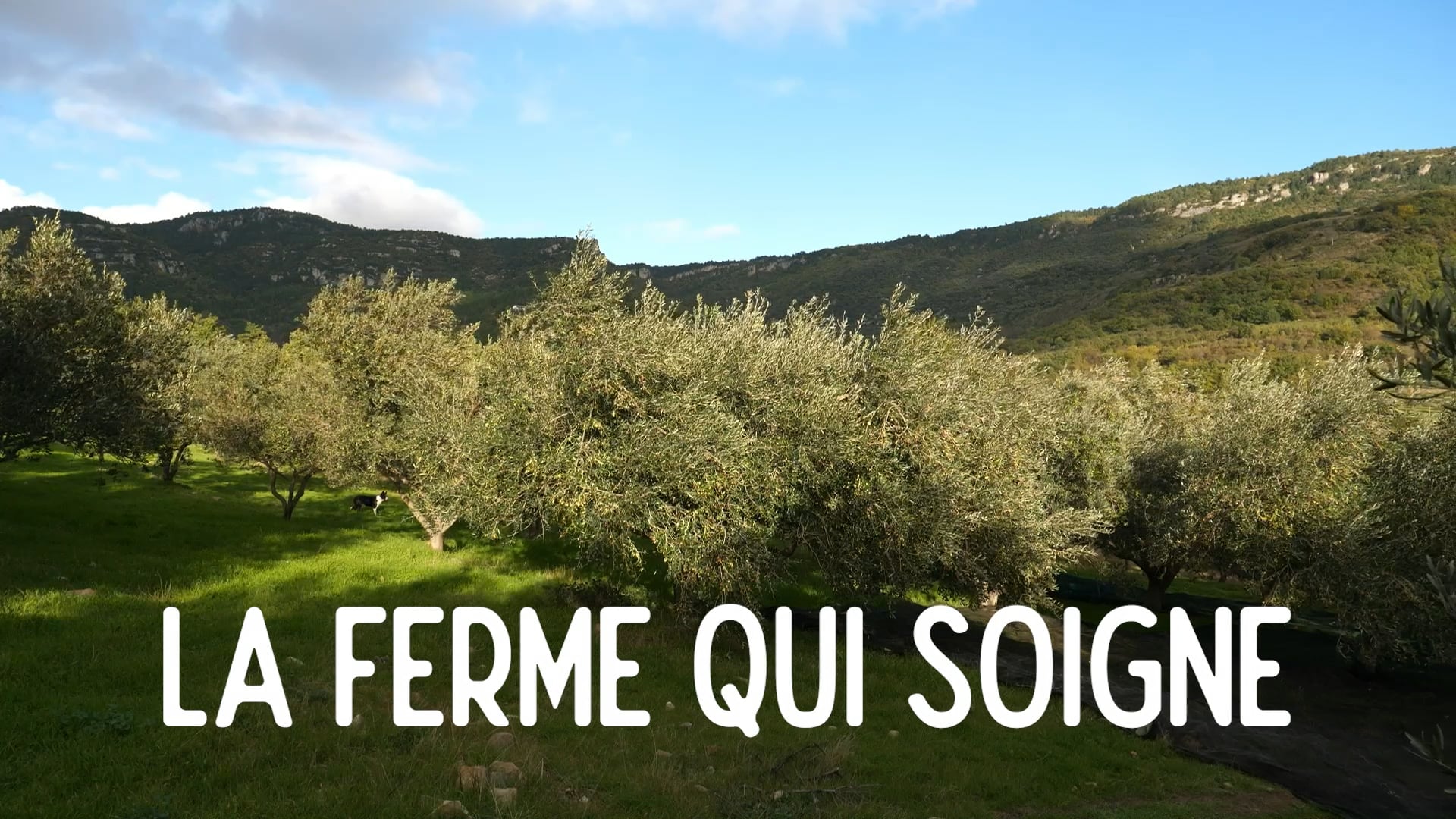 BA La Ferme qui soigne, agroécologie et médecines