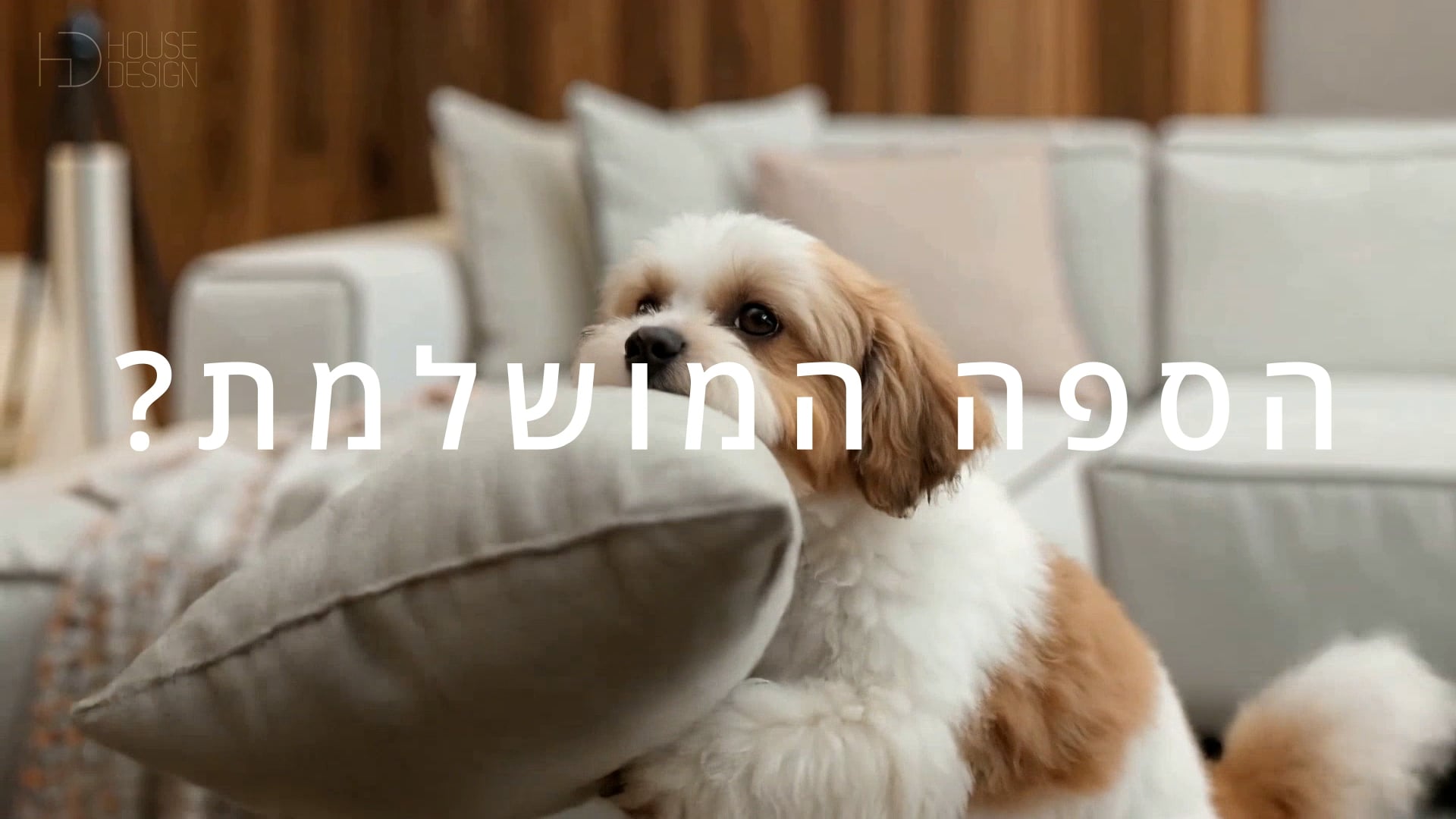 Couch Comfort for Everyone