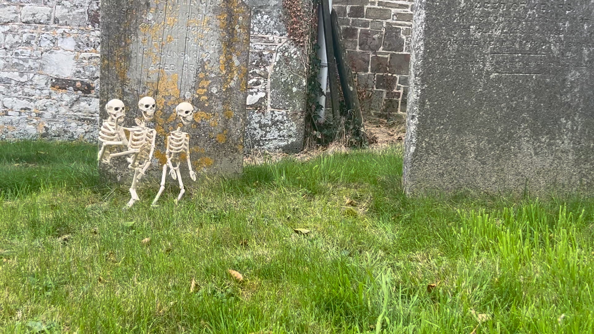 Skeleton Rag | Videos & Movies on Vimeo
