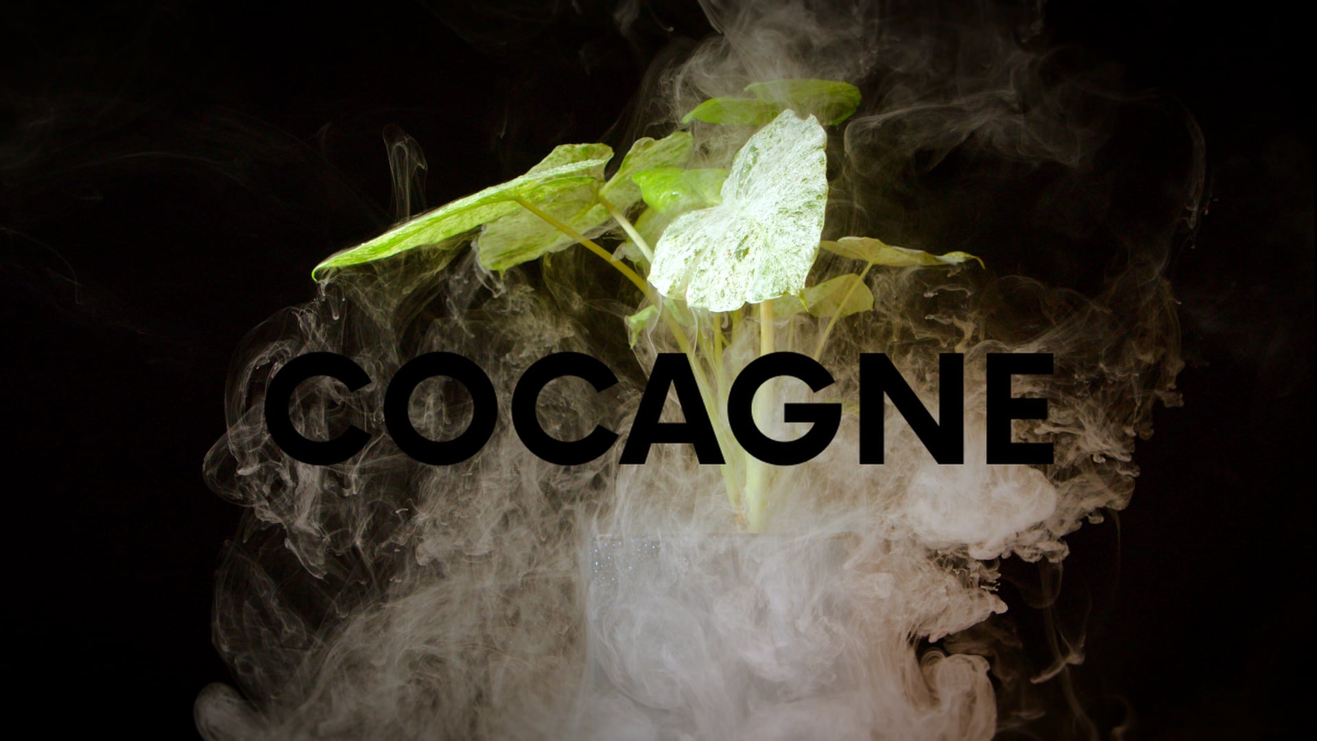 COCAGNE
