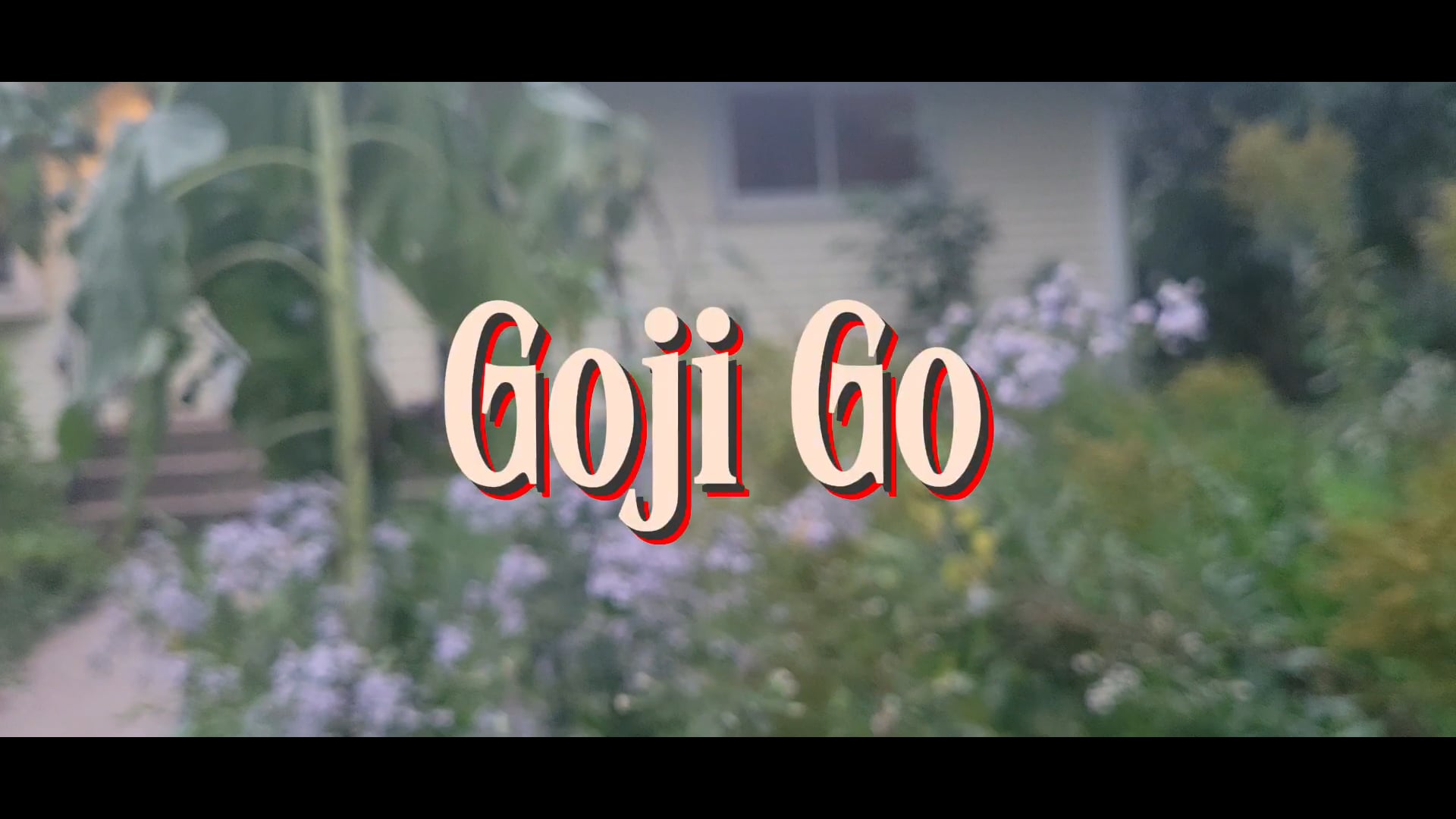 GojiGo---The Outsiders