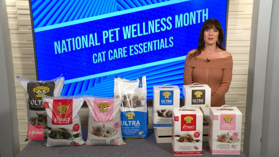National Pet Wellness Month: Must Haves for Your Cat