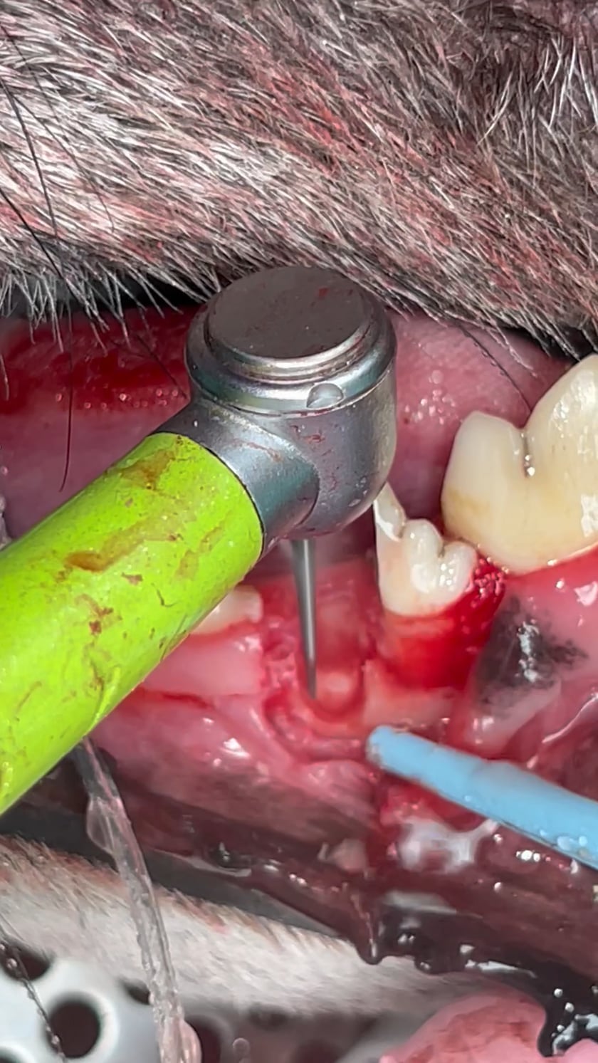 vimeo-video-thumbnail