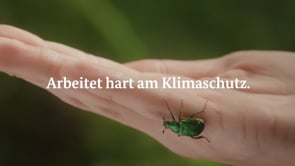 Natürlicher Klimaschutz Der Wald.