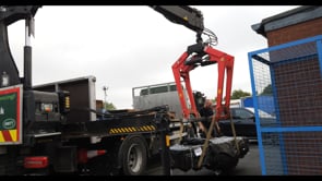 Ecliptium meets Yannimize