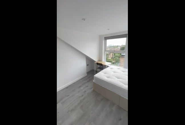 Video 1: