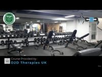 Harnessing the Gym Hydro Shiatsu Machine for Massage Therapy