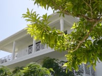 OLEA 335