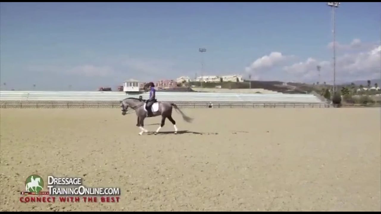 PSG Stretch and Collection | Daniel Martin Dockx | INTRO