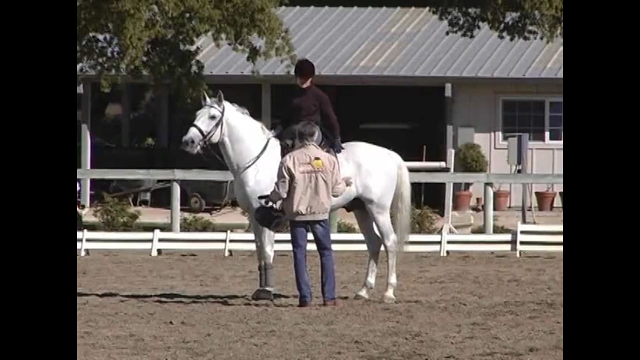 Half Steps & Developing Piaffe and Passage | Arthur Kottas-Heldenber | PART 02