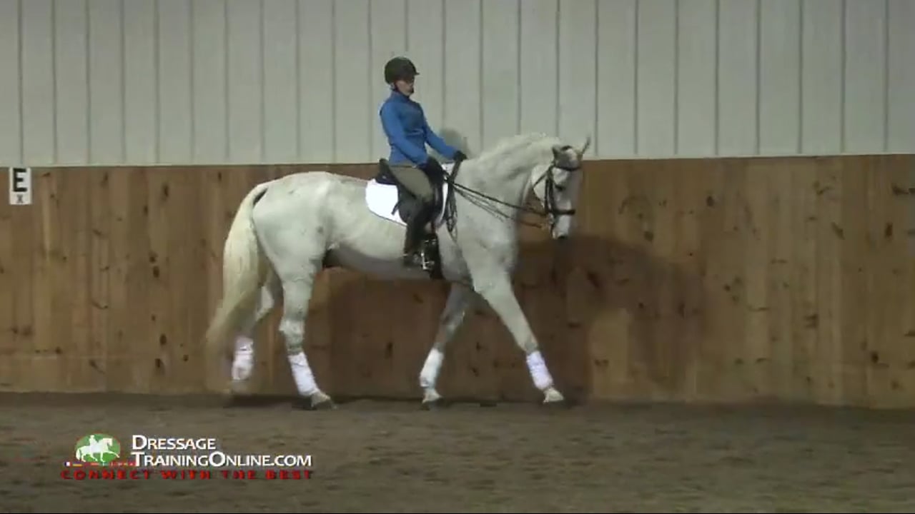 1/2014, FarmVet/USDF Complete Adult Clinic, featuring Lilo Fore, Creating Contac