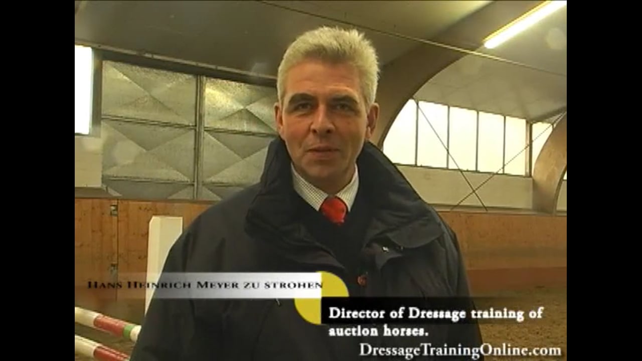 2008 121st Elite Hanoverian Auction, The complete auction experience!