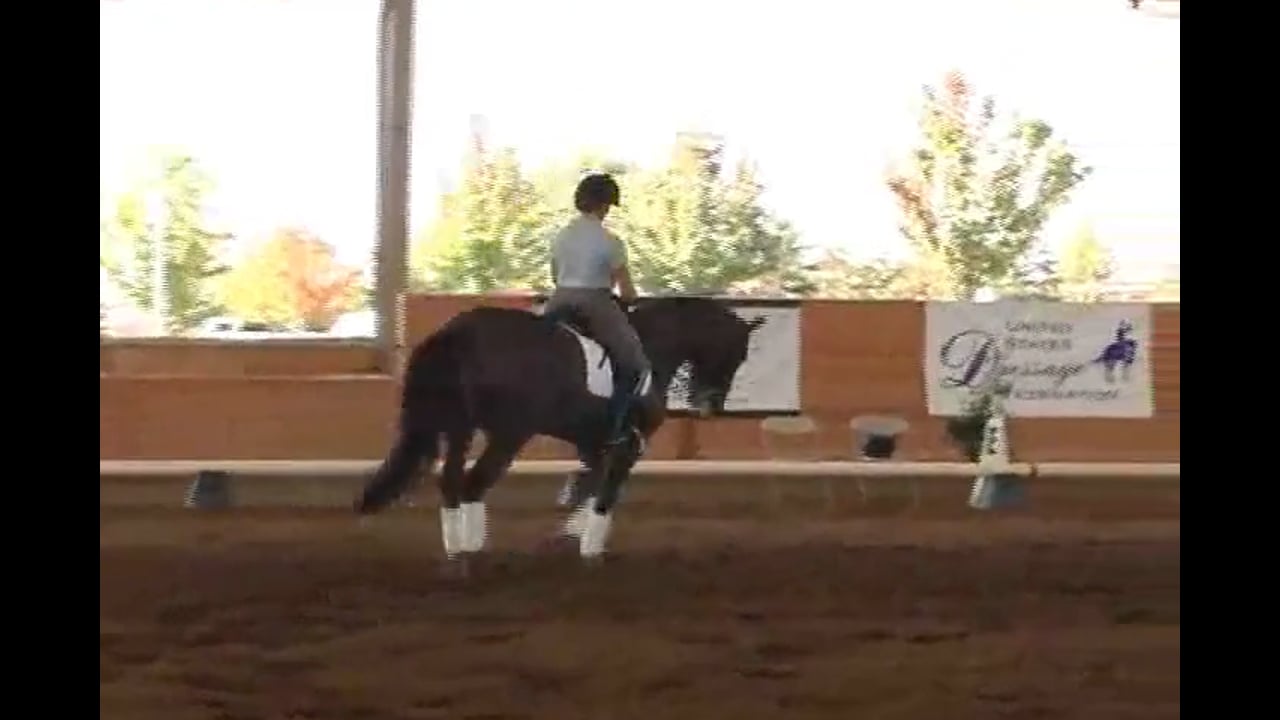 2007 Succeed/USDF FEI Trainer's Conf.: Day 2 | Courtney Frazer | PART 02