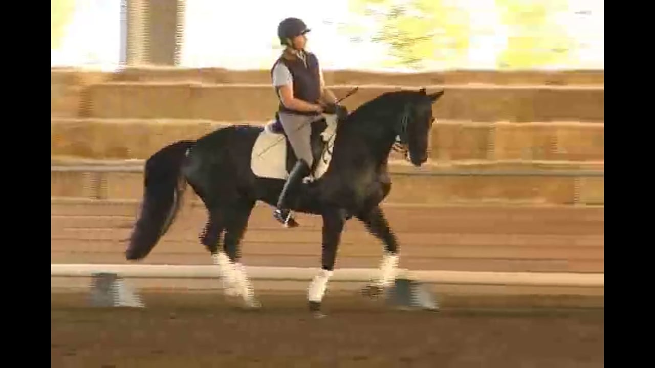 2007 Succeed/USDF FEI Level Trainer's Conf, Day 2 | Liz Hendrix | PART 02