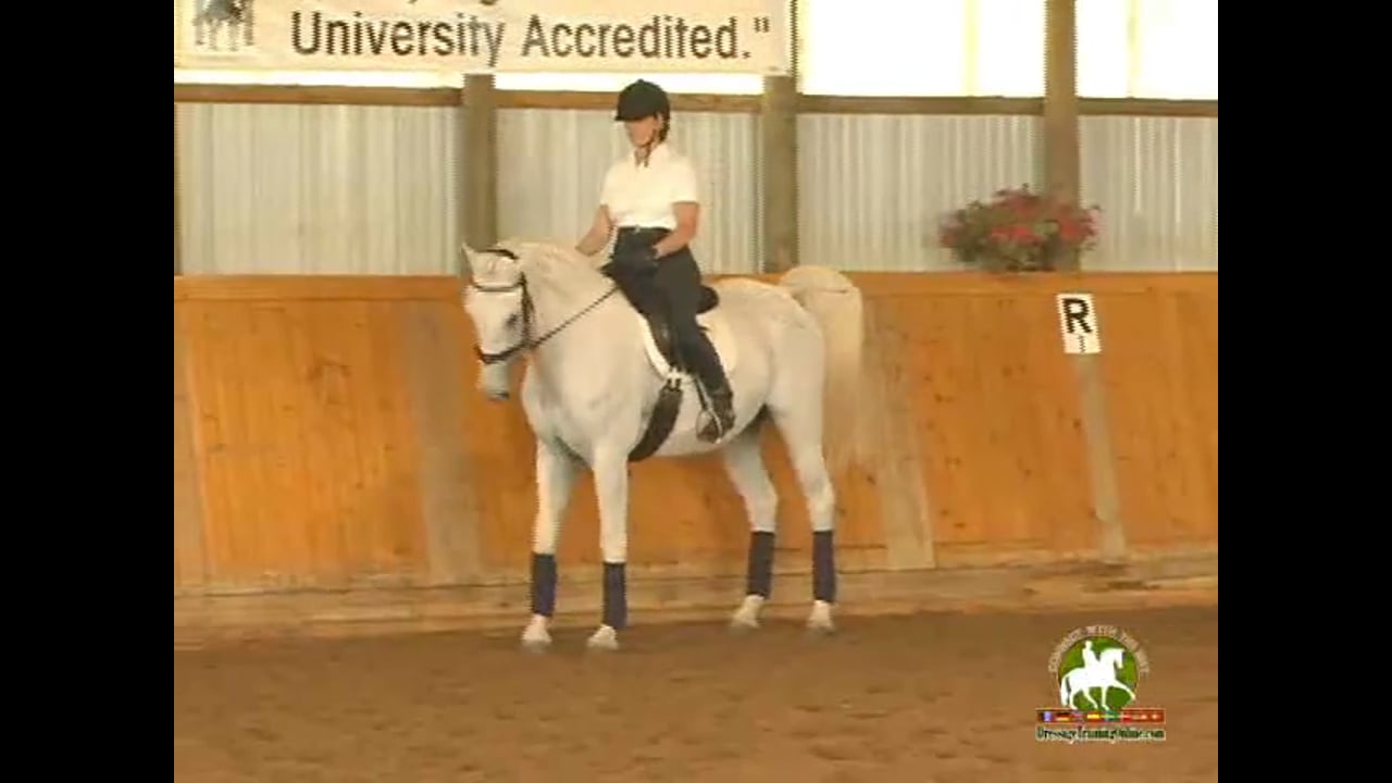 1st Level, Training Thru the Levels | Janet Foy & Steffen Peters | PART 02