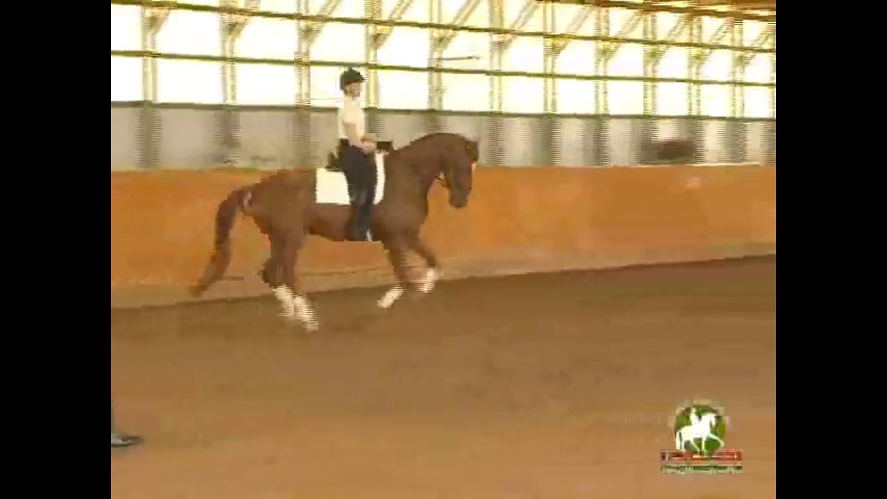 1st Level, Training Thru the Levels | Janet Foy & Steffen Peters | PART 03