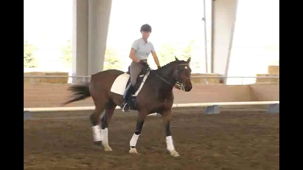 2007 Succeed/USDF FEI Level Trainer's Conf, Day 2 | Tanya Vik | PART 02