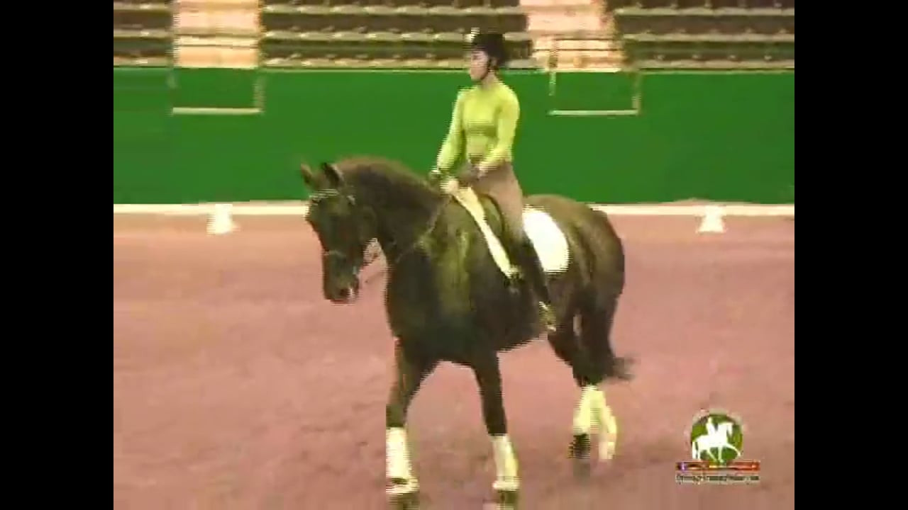 2009 Adequan/USDF Symposium | Jan Brink | PART 11