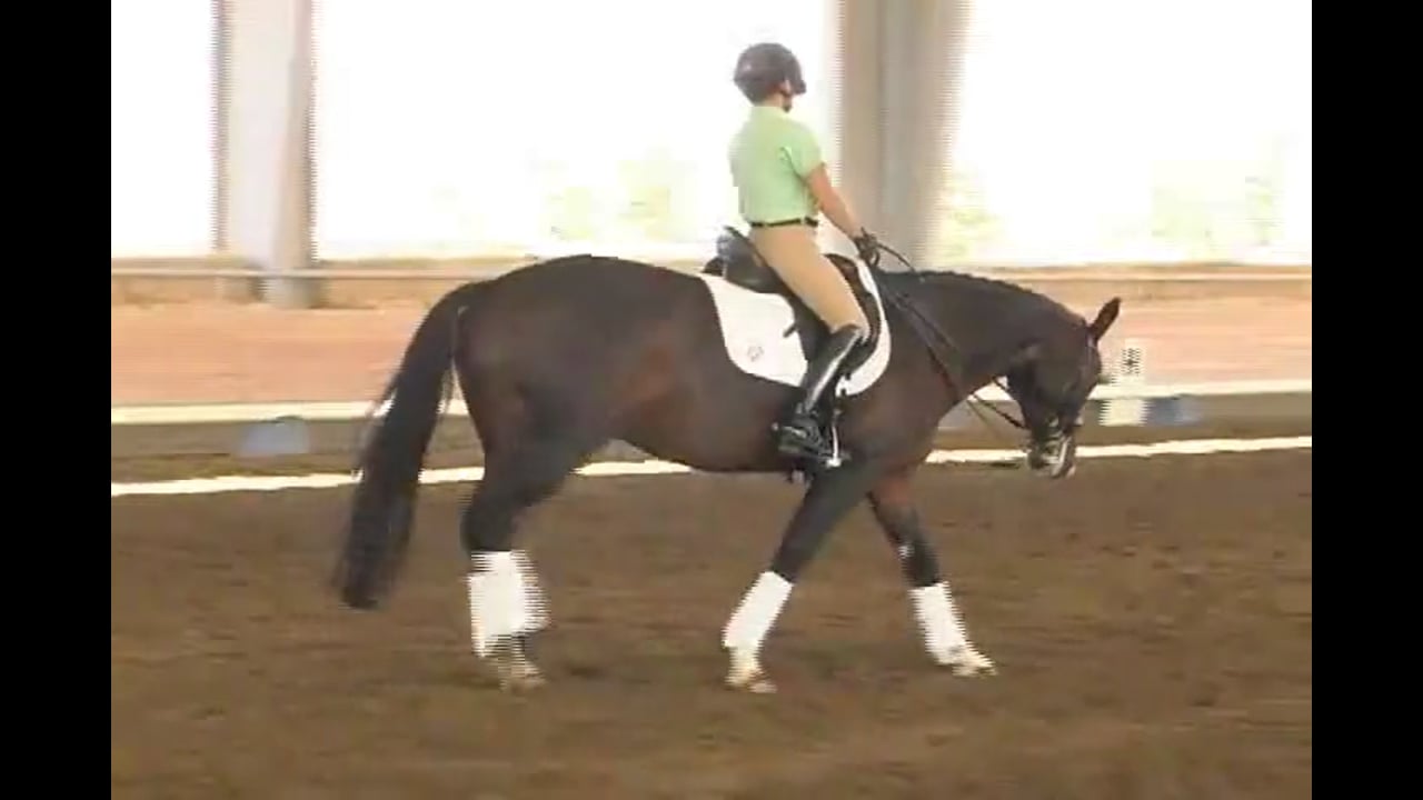 2007 Succeed/USDF FEI Level Trainer's Conference, Day 2 | Jan Brink | PART 02