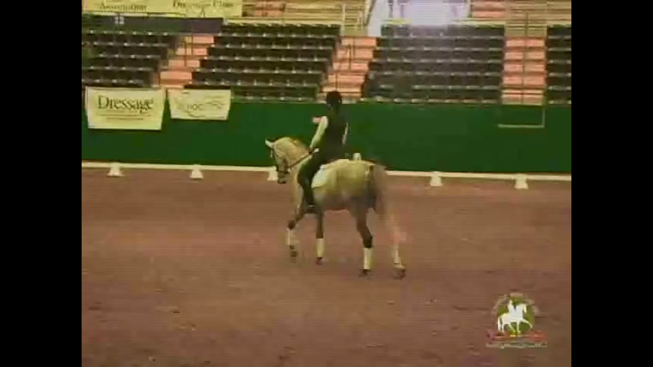 2009 Adequan/USDF Symposium | Jan Brink | PART 05