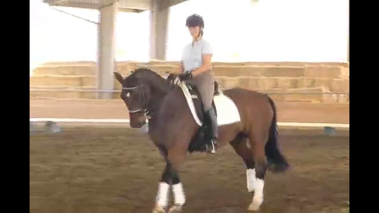 2007 Succeed/USDF FEI Level Trainer's Conf, Day 2 | Tanya Vik | PART 03