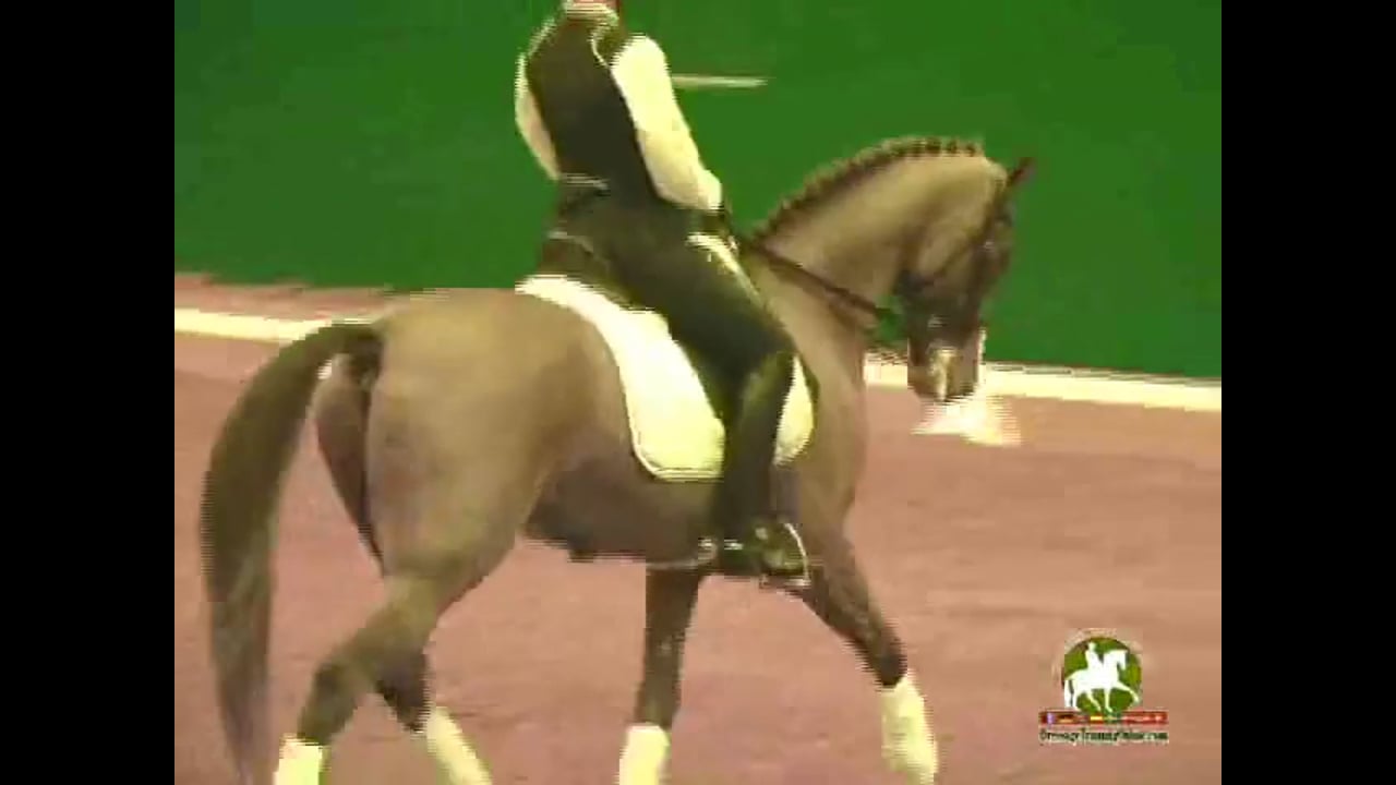 2009 Adequan/USDF Symposium | Jan Brink | PART 07