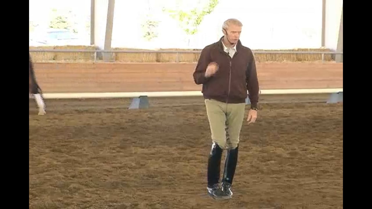2007 Succeed/USDF FEI Level Trainer's Conference, Day 2, Q&A | Jan Brink