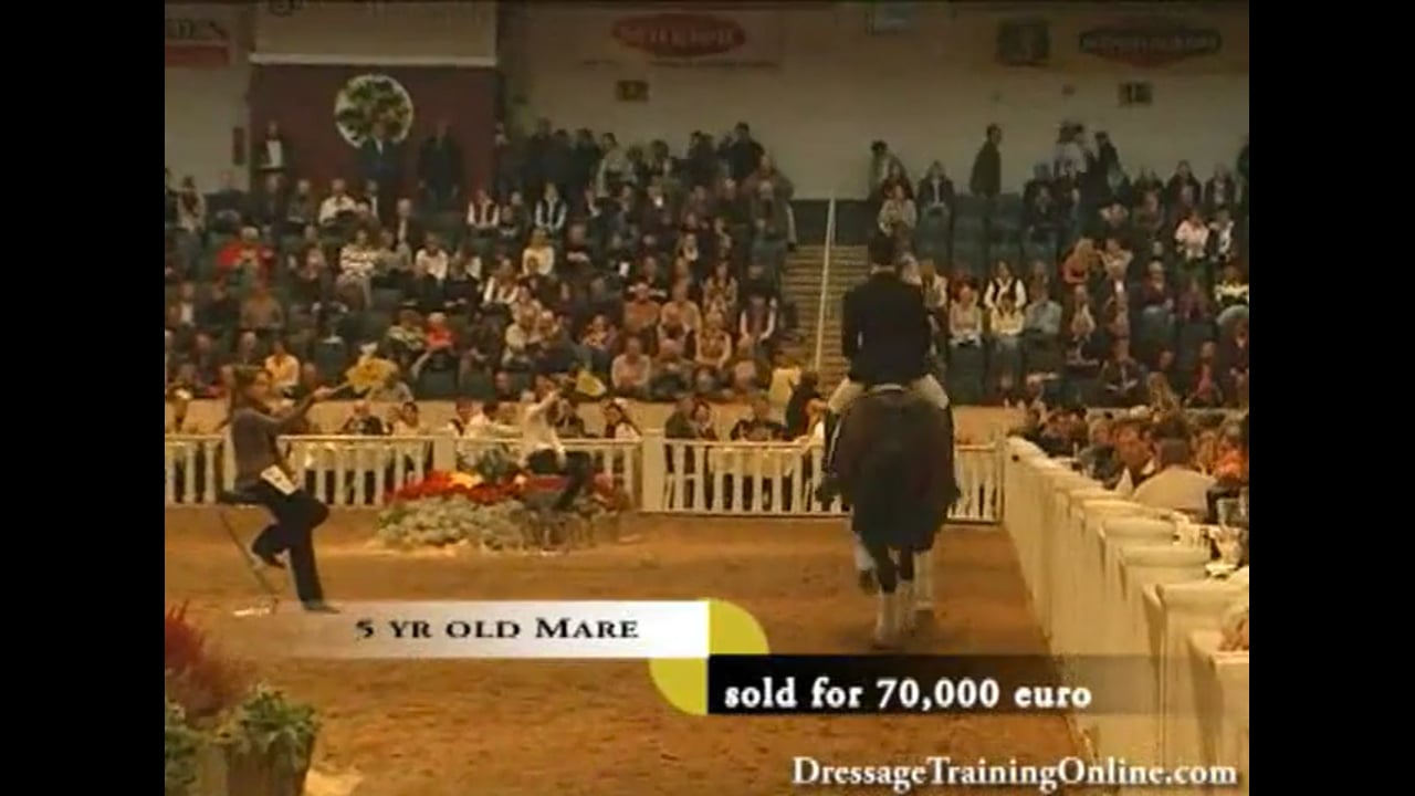 2008 121st Elite Hanoverian Auction, The complete auction experience!