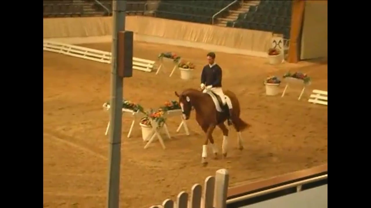 2008 121st Elite Hanoverian Auction, The complete auction experience!