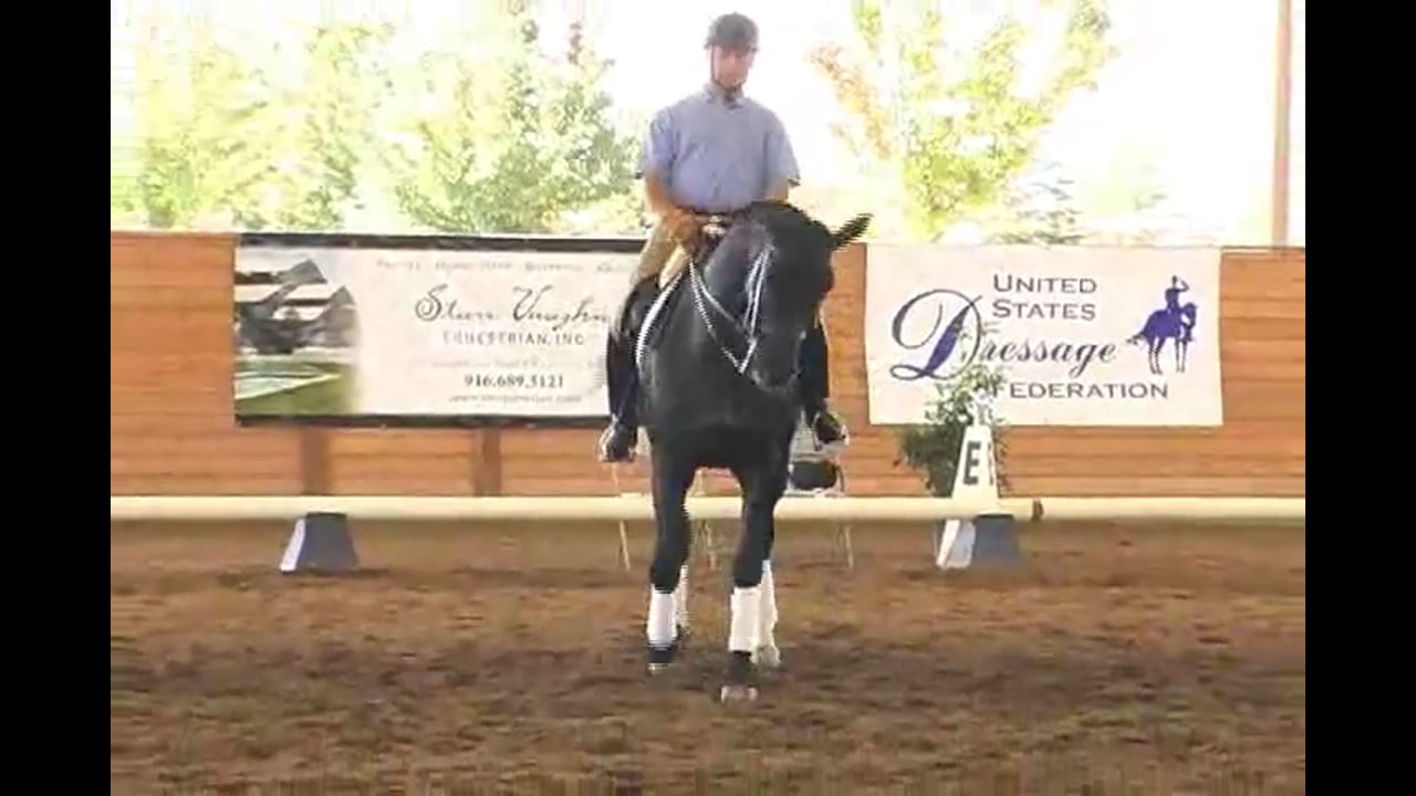 2007 Succeed/USDF FEI Level Trainer's Conf: Day 2 | Dirk Glitz | Feat. Jan Brink