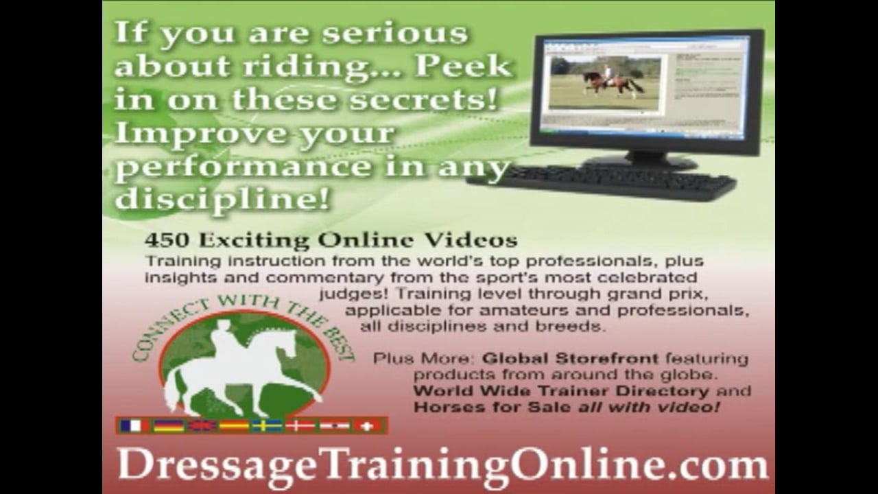 2008 121st Elite Hanoverian Auction - Explanation of Catalogue | Alex Gerding