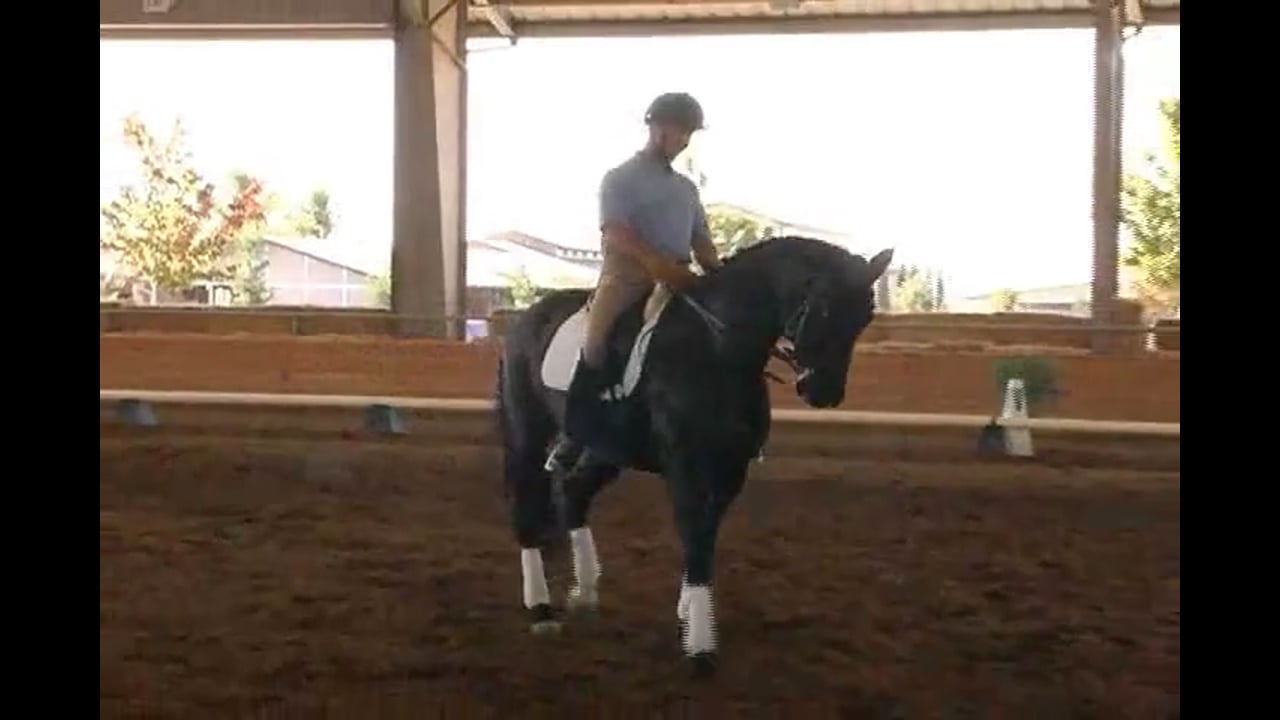 2007 Succeed/USDF FEI Level Trainer's Conf: Day 2 | Dirk Glitz | Feat. Jan Brink