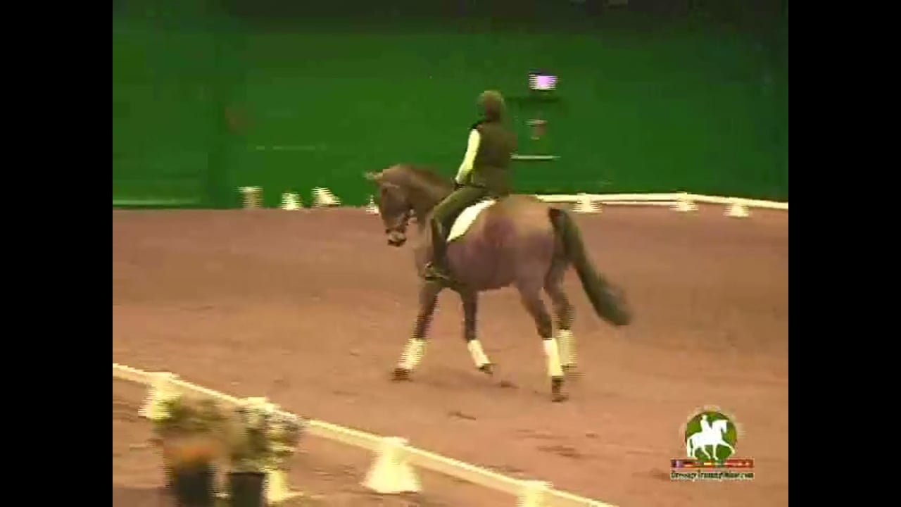 2009 Adequan/USDF Symposium | Jan Brink | PART 02