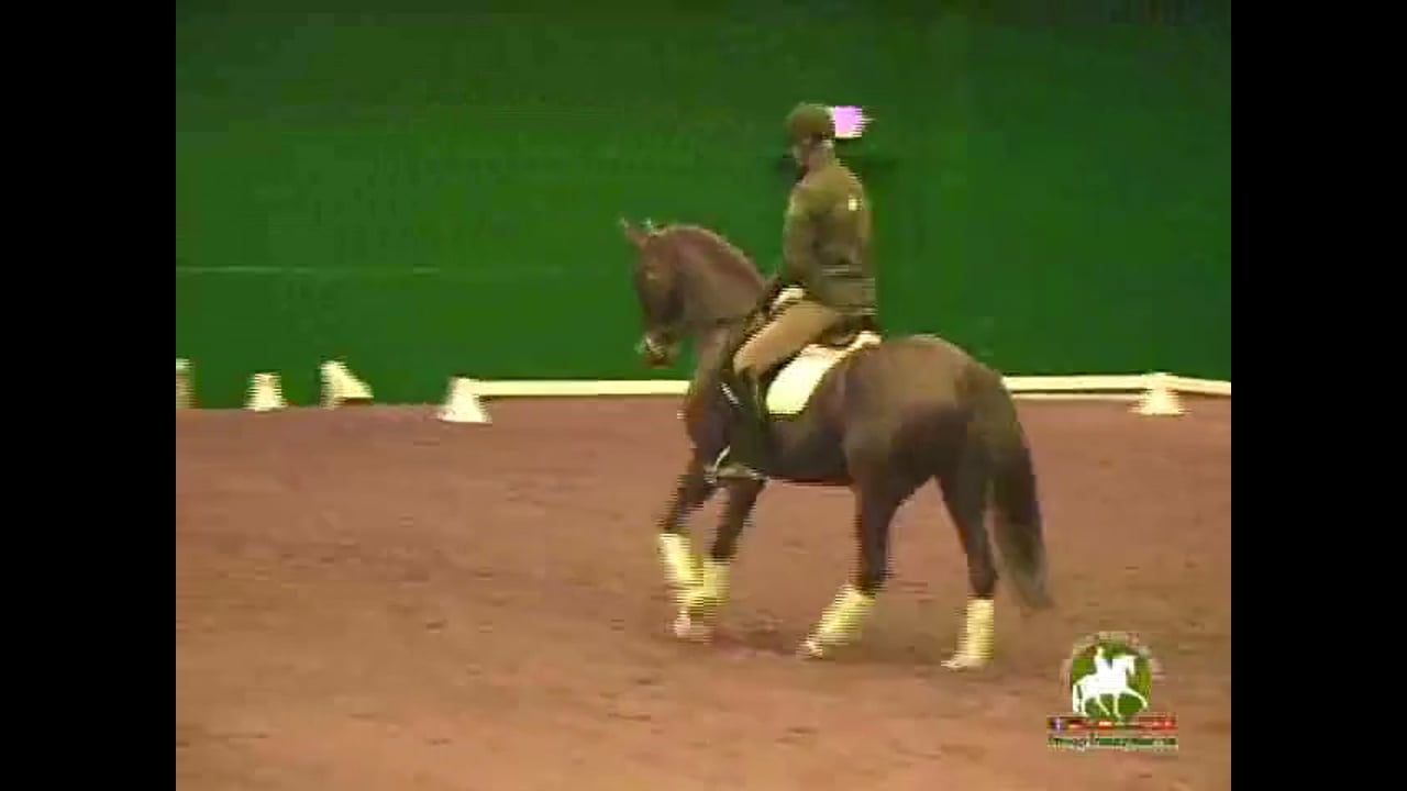 2009 Adequan/USDF Symposium | Jan Brink | PART 13