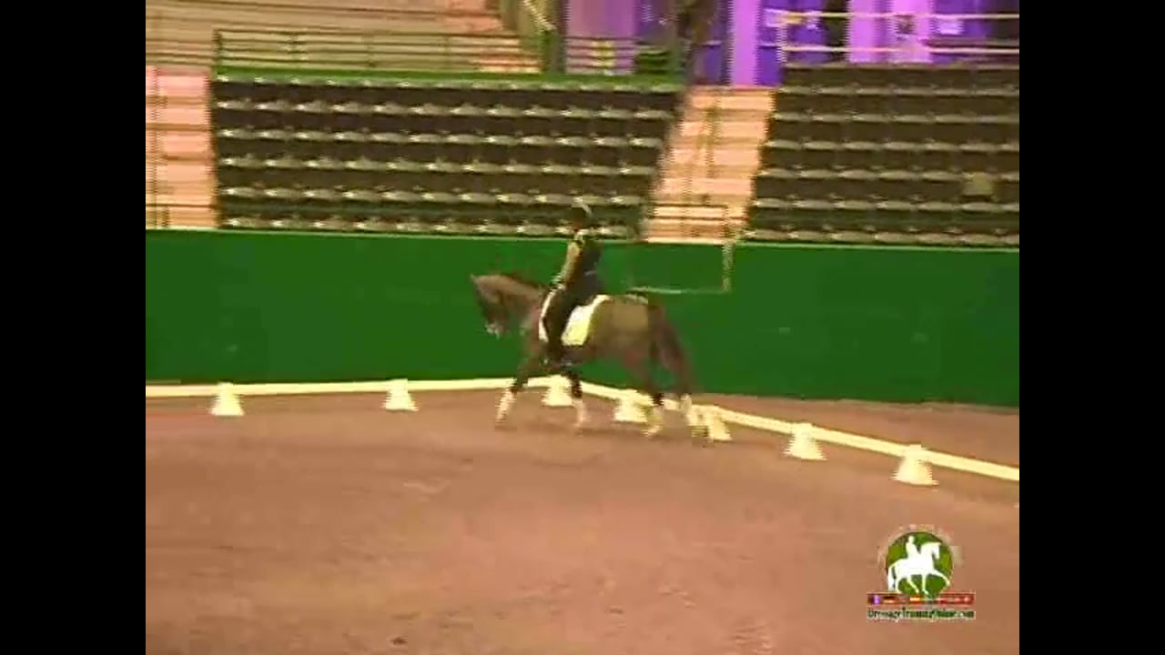 2009 Adequan/USDF Symposium | Jan Brink | PART 14