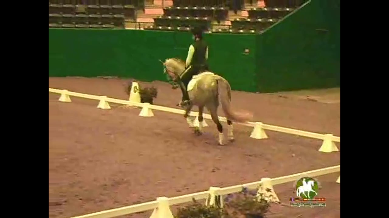 2009 Adequan/USDF Symposium | Jan Brink | PART 20