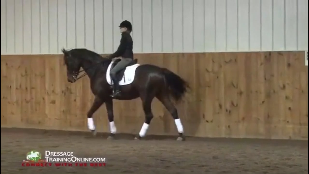 2014 FarmVet/USDF Complete Adult Clinic featuring Lilo Fore, Basics through Gran