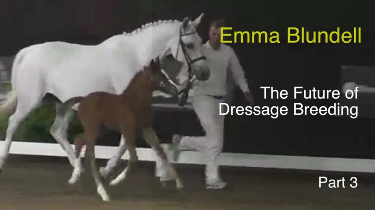 The Future of Dressage Breeding | Emma Blundell | PART 03